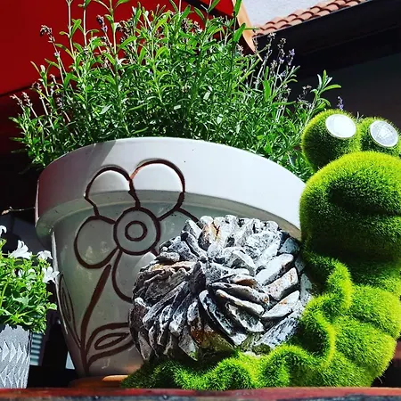 Zum Loewen Ξενοδοχείο Mörfelden-Walldorf