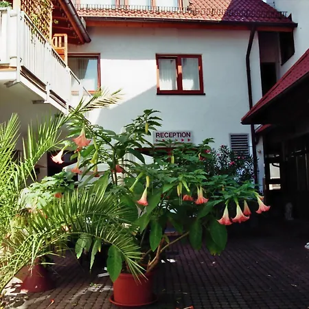 Zum Loewen